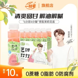 芭乐油柑茶果味解腻清爽茶味饮料（10瓶）