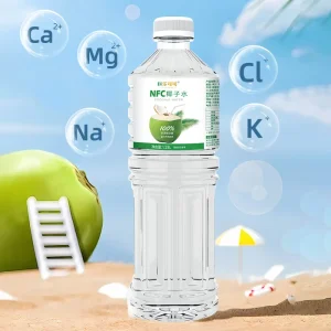 100% Pure Coconut Water – 2 × 1.25L Bottles