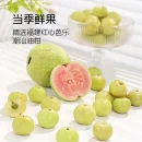 芭乐油柑茶果味解腻清爽茶味饮料（10瓶）