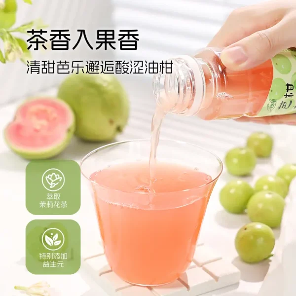 芭乐油柑茶果味解腻清爽茶味饮料（10瓶） - Image 4