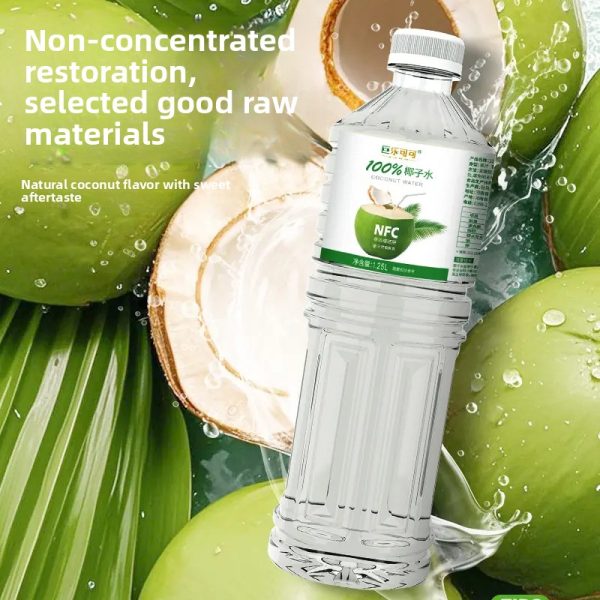 100% Pure Coconut Water – 2 × 1.25L Bottles - Image 4