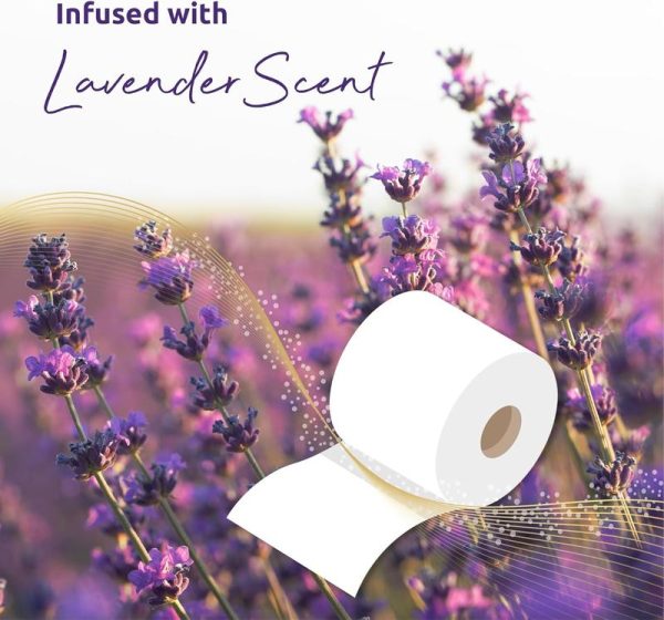 60 Roll Bulk Buy - Quilted 3 Ply LavenderFragranced Toilet Rolls - Image 3