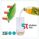 (Pack of 6) Shaken Tea - Jasmine Strawberry Black Tea || Asian Flavored Premium Iced Tea || Non-GMO || Real Leaf Brewed Tea || 16.9 Oz Bottles