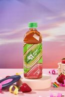 (Pack of 6) Shaken Tea - Jasmine Strawberry Black Tea || Asian Flavored Premium Iced Tea || Non-GMO || Real Leaf Brewed Tea || 16.9 Oz Bottles