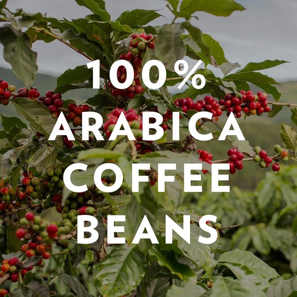 Community Coffee Dark & Bold Espresso Roast, Extra Dark Roast Ground Coffee, 340g Bag (Pack of 1) - Image 5