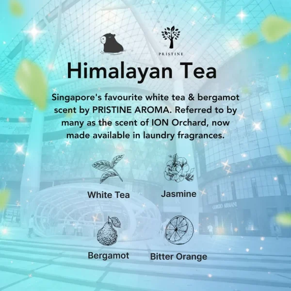 Himalayan Tea 10in1 Magic Pods™ (30-Pods) - Image 2