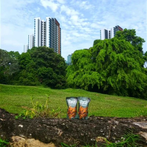 Emping Melinjo Chips by Harvest Eatery Emping Belinjo Chips Indo Snack [500g] Large Pack（3 Bags） - Image 3