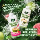 [BUNDLE OF 2] Coco Republic Coconut Water (330ml x 48 Bottles)