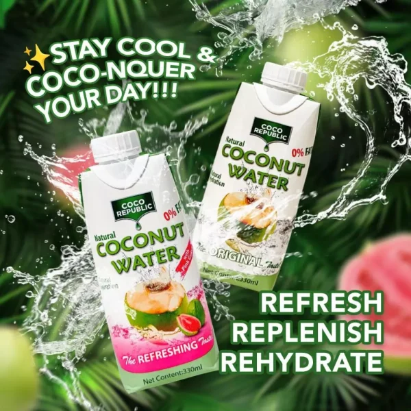 [BUNDLE OF 2] Coco Republic Coconut Water (330ml x 48 Bottles) - Image 3
