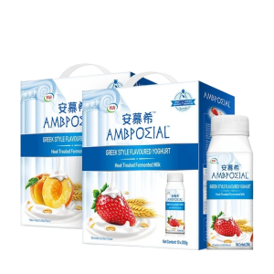 Yili Ambrosial Yogurt Series 伊利安慕希酸奶系列 (盒) 10 x 200g