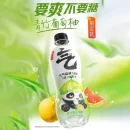 Genki Forest Sparkling Water White Peach/Yogurt Flavor/Plum Juice/Calamondin 480ML